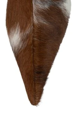 DARLING-2F -Jeffrey Campbell Store darling 2f knee high boot yyh 194326