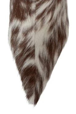 PINPOINT-F -Jeffrey Campbell Store pinpoint f knee high boot yyh 448065