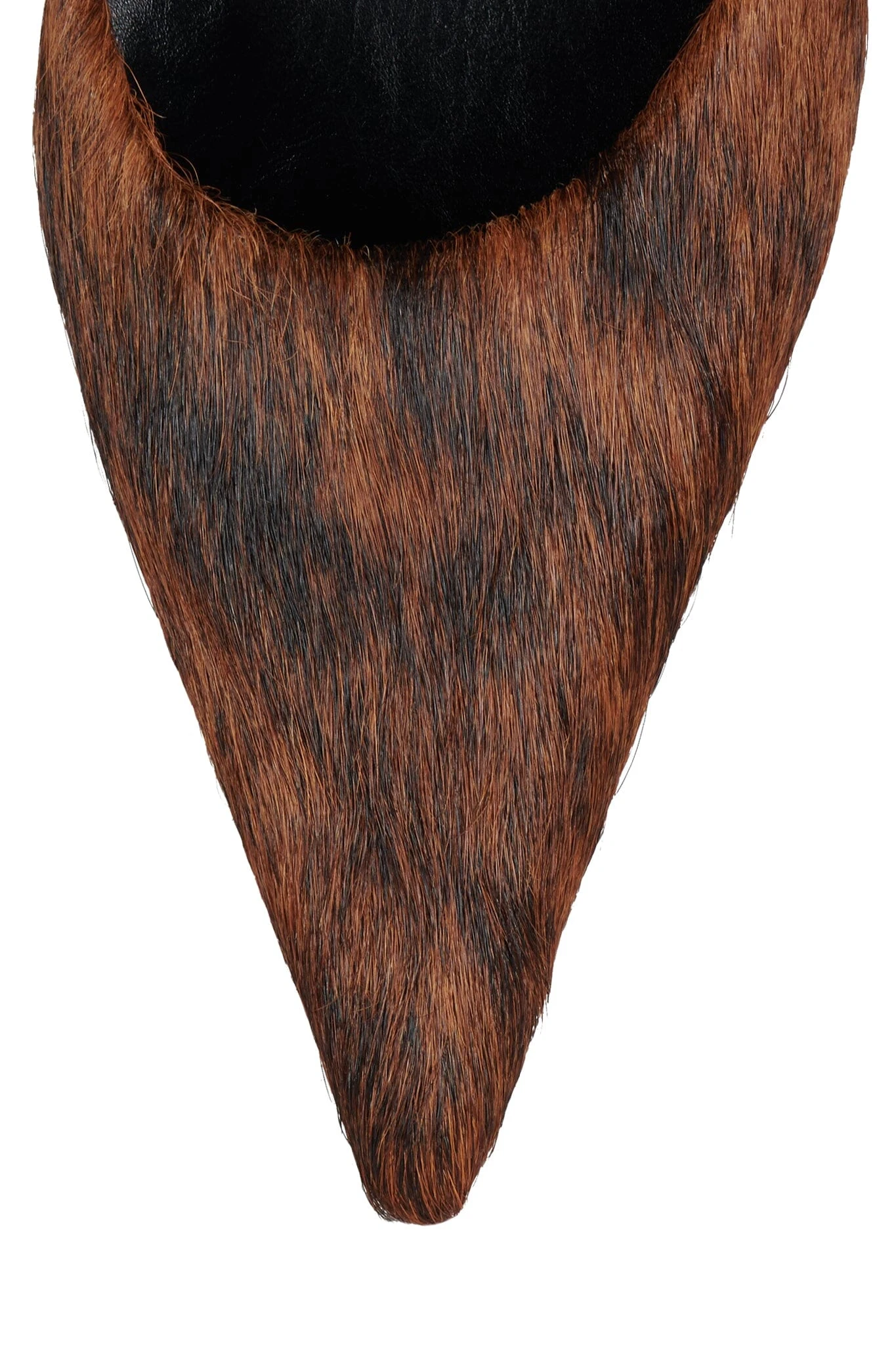 ROBYN-F 16 ROBYN-F - Image 16