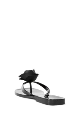 SO-SWEET -Jeffrey Campbell Store so sweet jeffrey campbell 164205